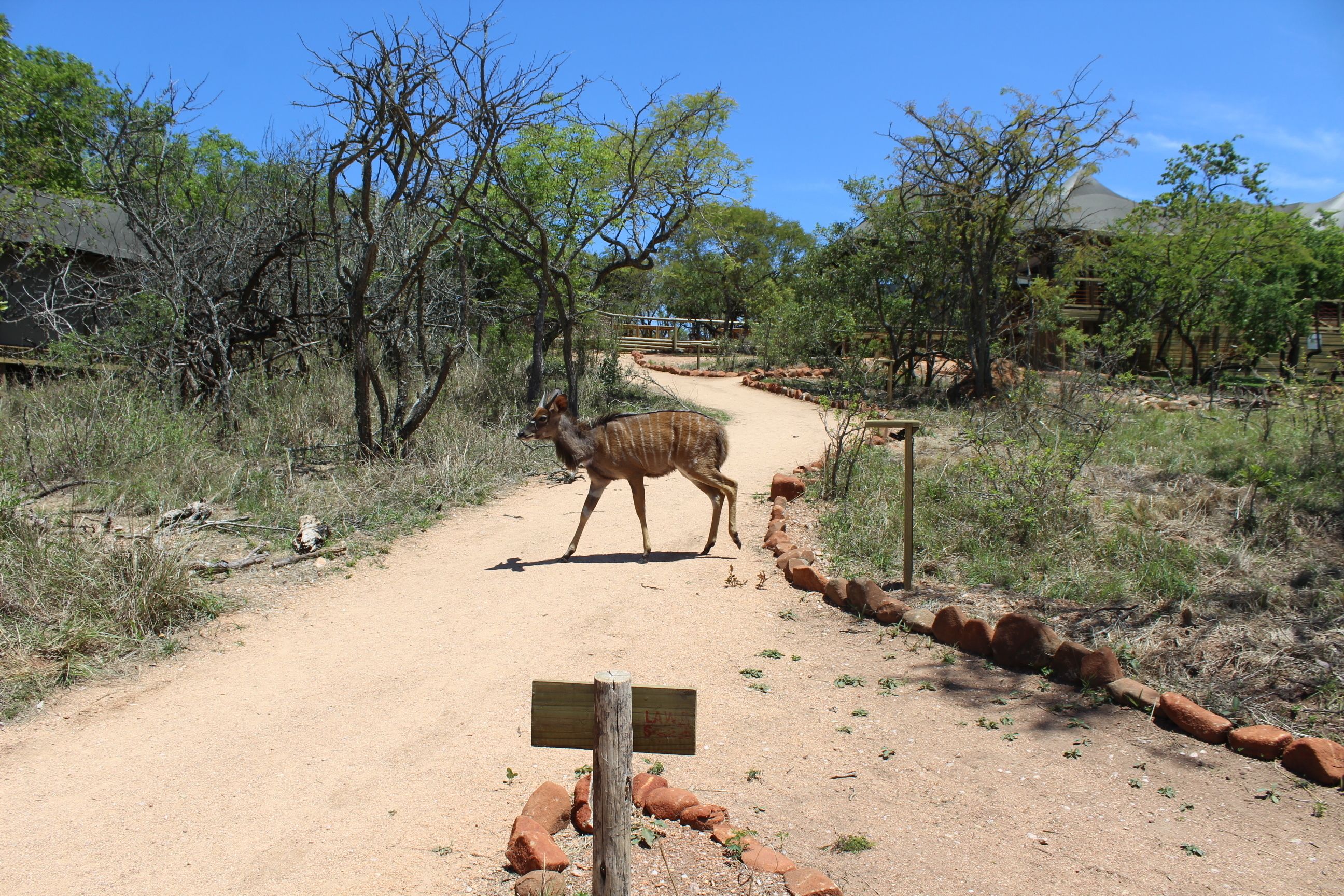 Ndhula Luxury Tented Lodge 4*
