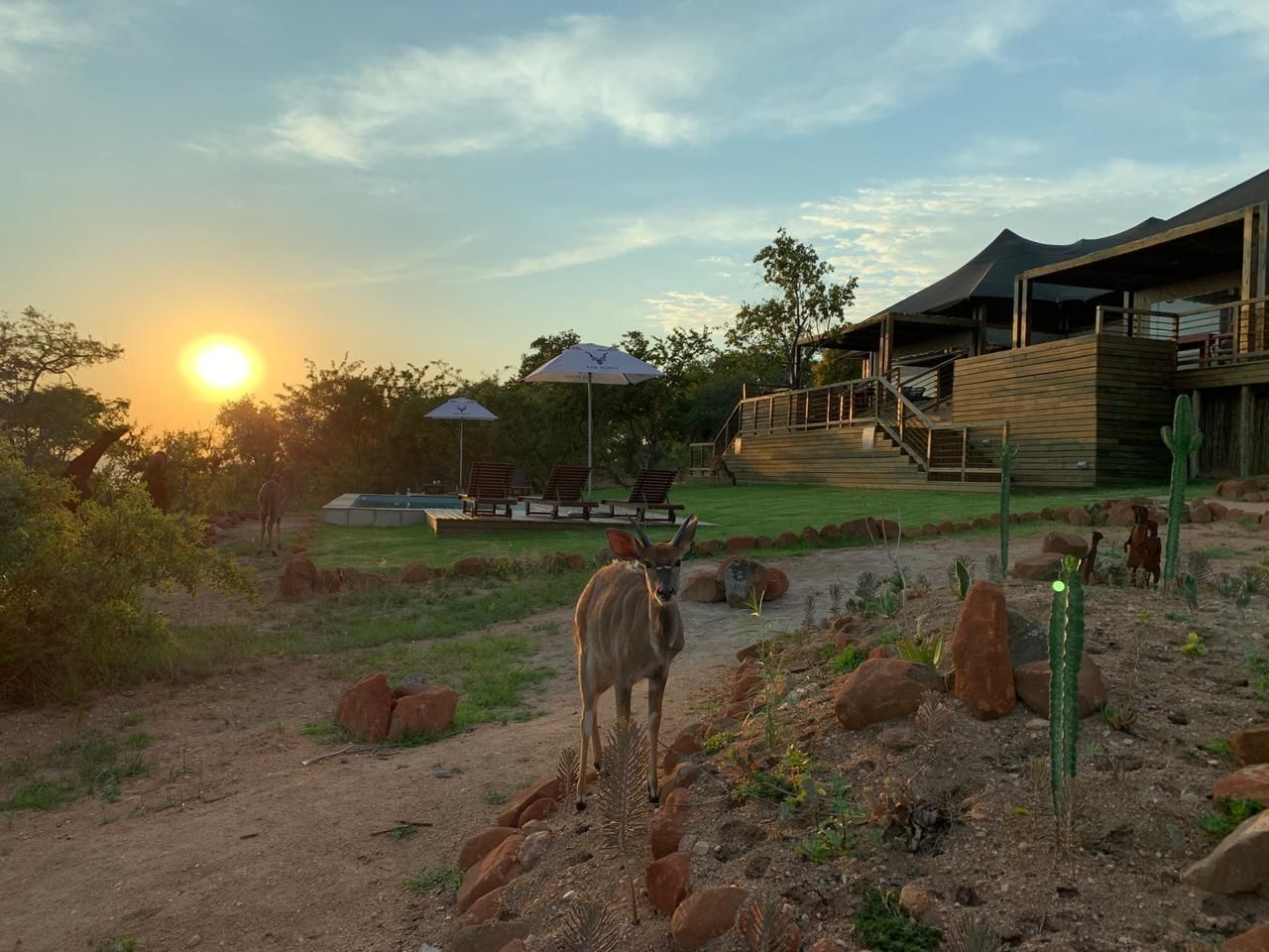 Ndhula Luxury Tented Lodge 4*