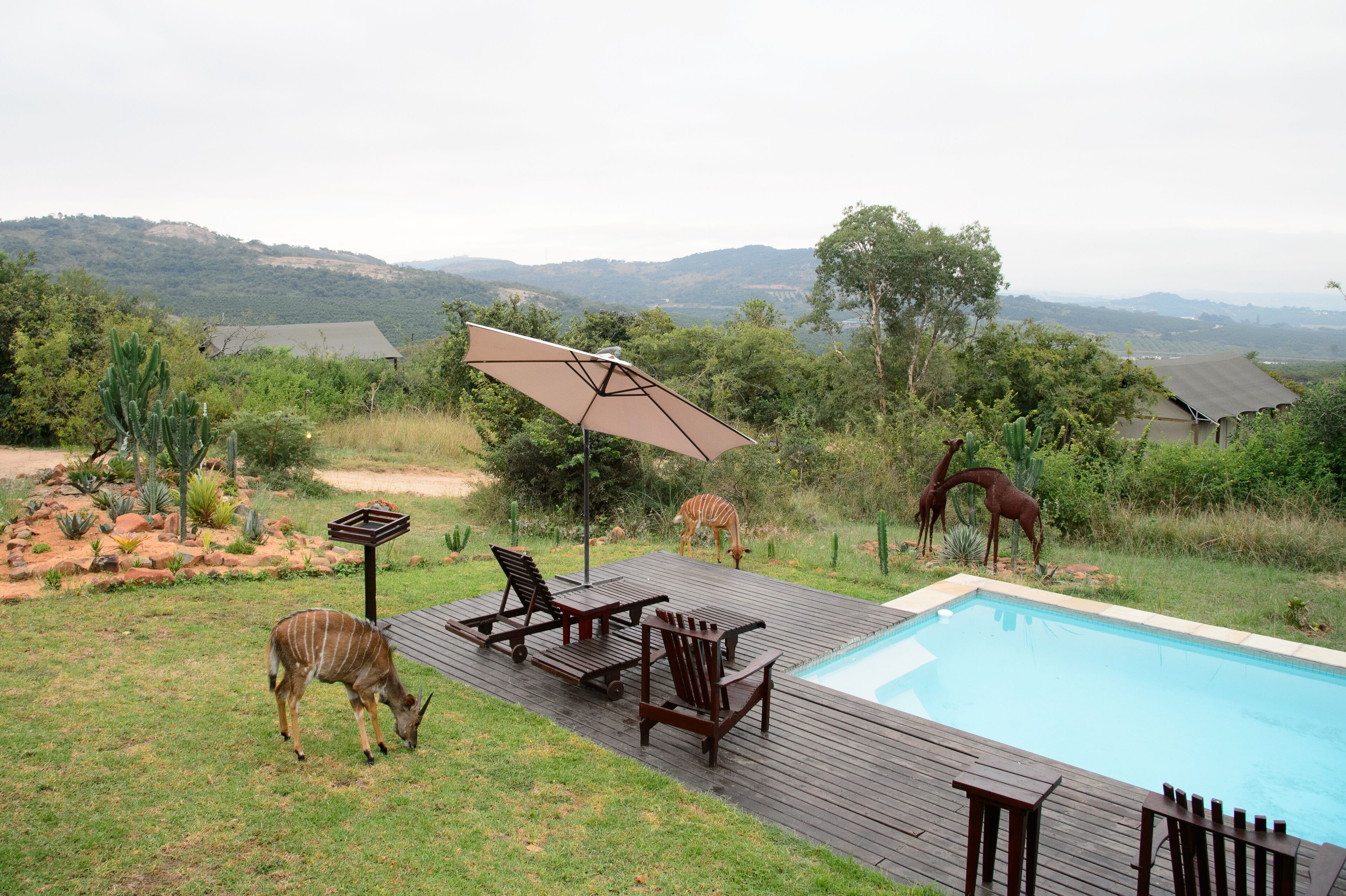 Ndhula Luxury Tented Lodge 4*