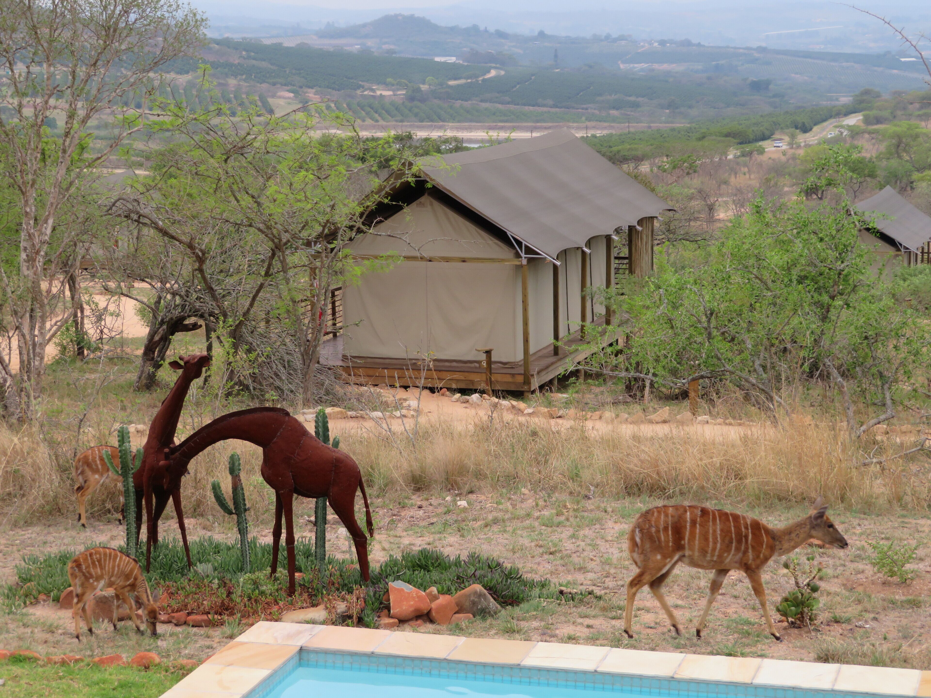 Ndhula Luxury Tented Lodge 4*