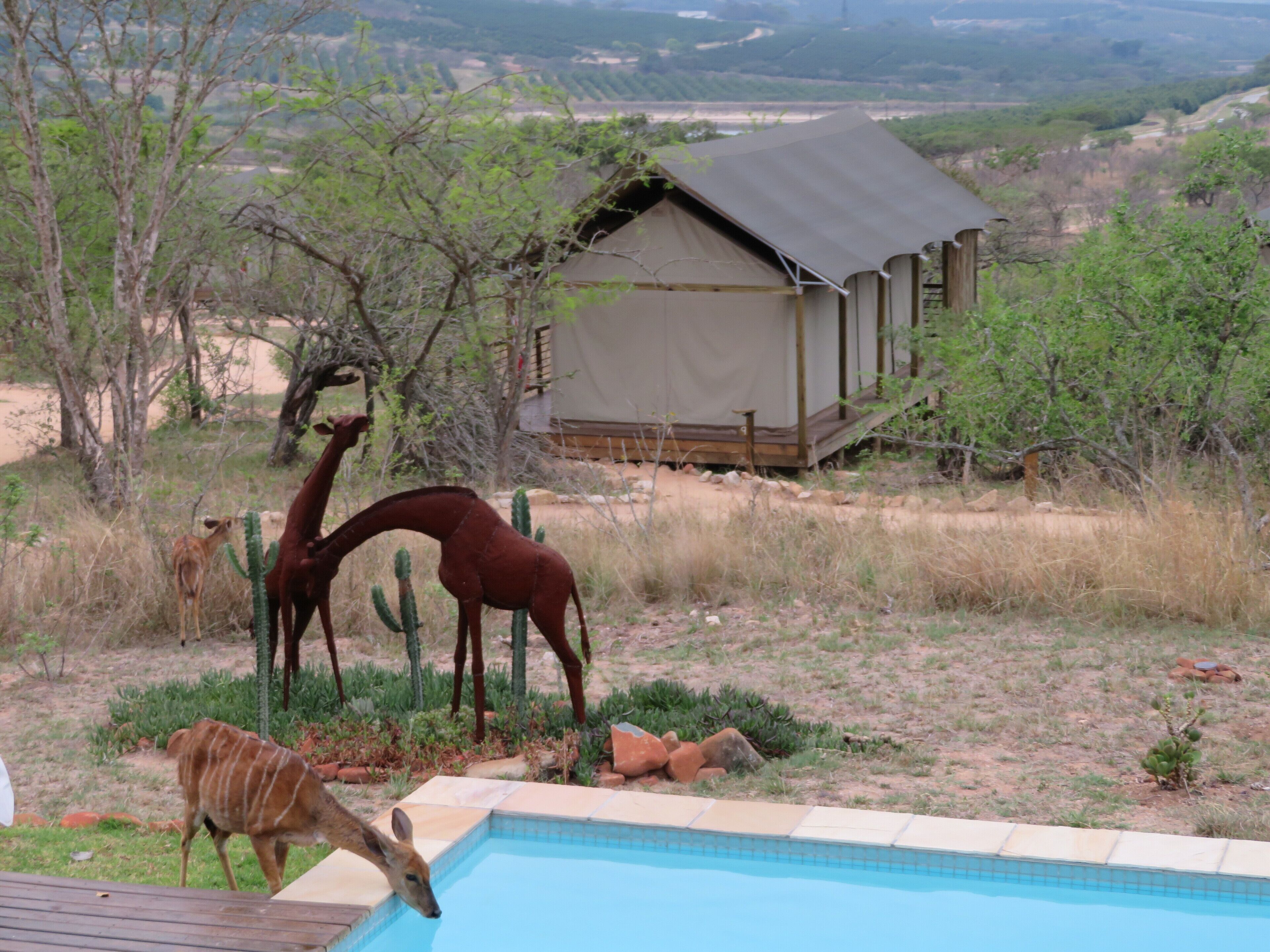 Ndhula Luxury Tented Lodge 4*