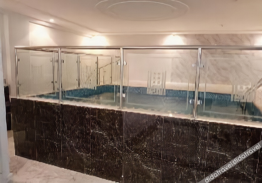 Areen Airport Hotel 0*