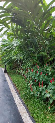 Carpe Diem Villas & Resort 4*