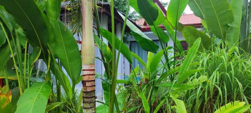 Carpe Diem Villas & Resort 4*