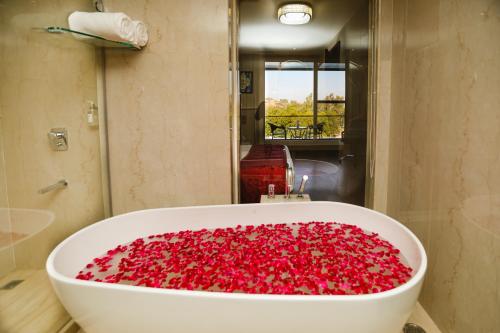 Regenta Place Jhansi by Royal Orchid Hotels Limited 4*