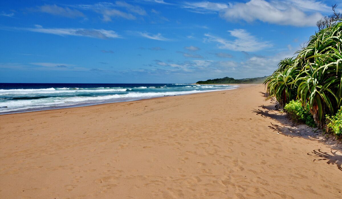 ANEW Hotel Ocean Reef Zinkwazi 4*