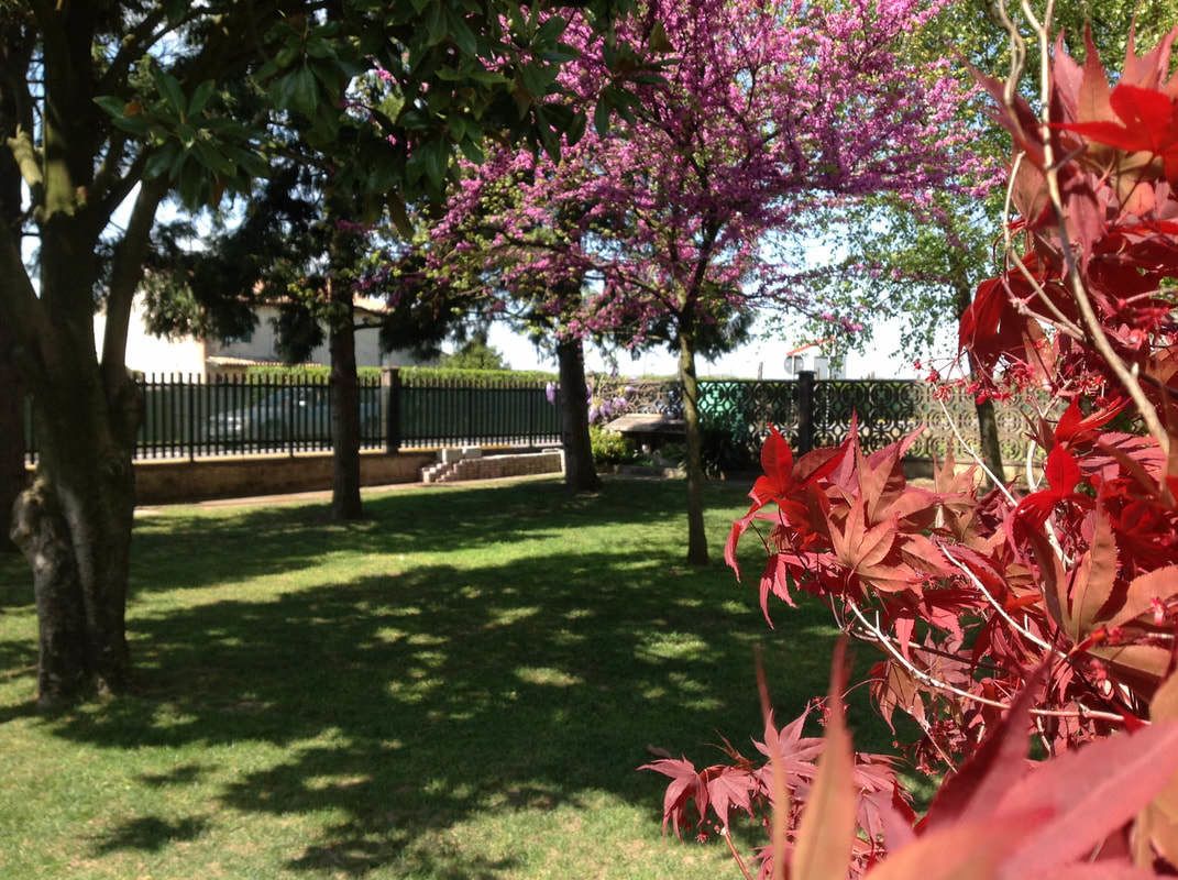 B&B Acero Rosso 3*