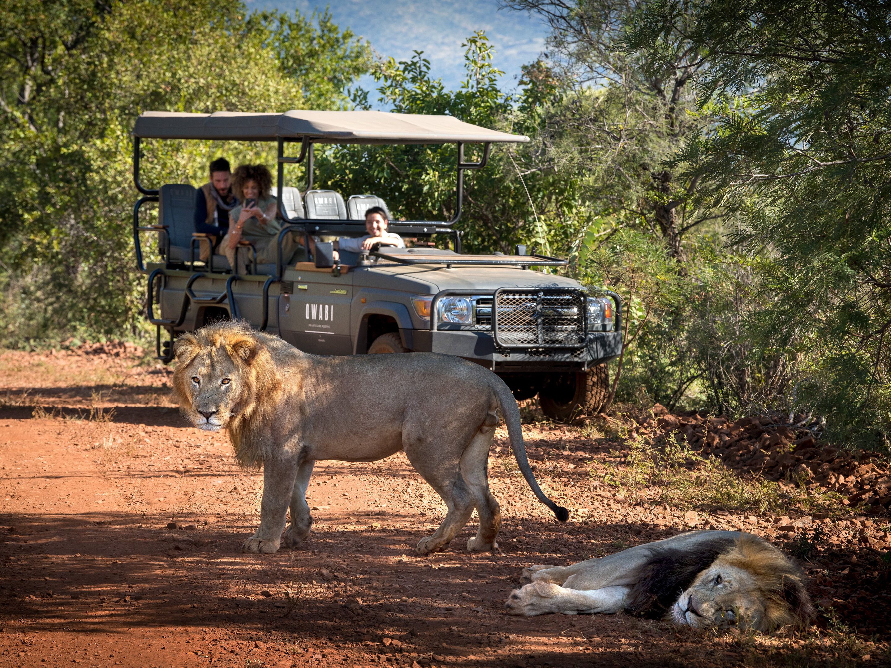 Babohi at Qwabi Private Game Reserve by NEWMARK 5*