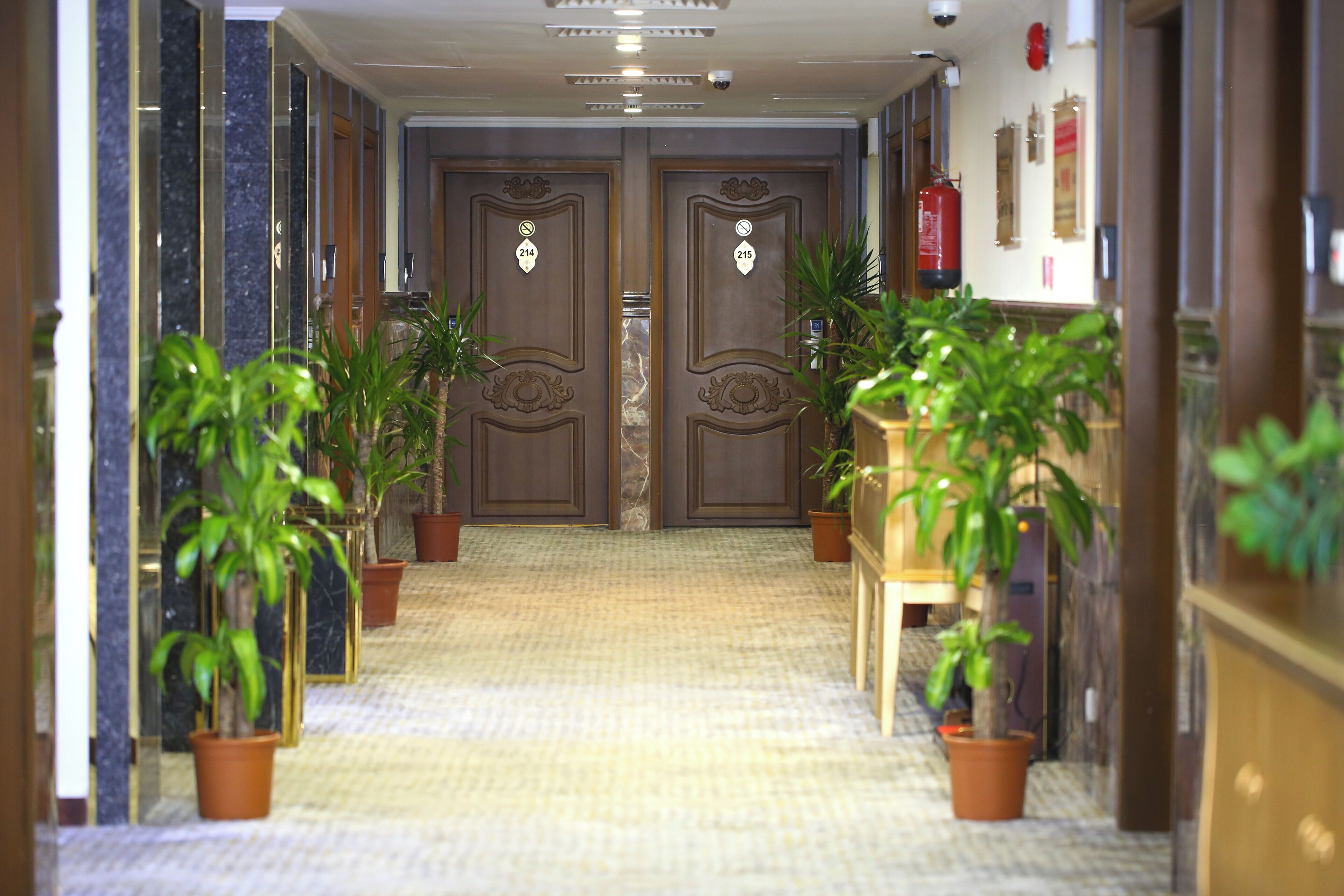 Vandal Hotels 3*