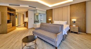 S79 Residence LYN Panorama 4*