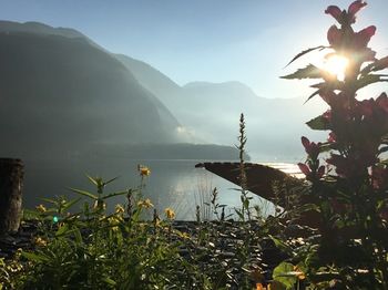 Hallstatt Hideaway - Adults only 0*