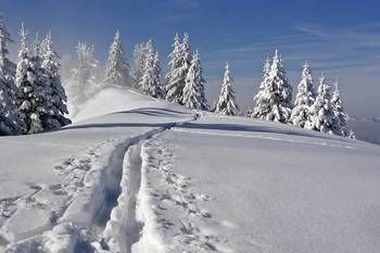 Sportresidenz Zillertal 4*