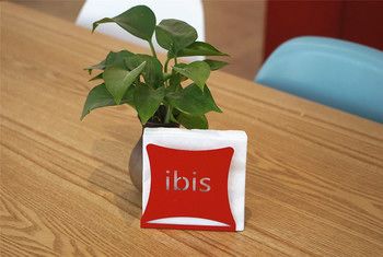 Ibis Hotel (Shanghai New International Expo Center FangDian Road Subway Station) 3*
