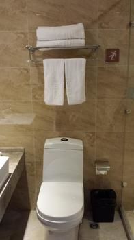 Holiday Inn Nanjing Yingzun Hotel (Nanjing University Xianlin Subway Station) 3*