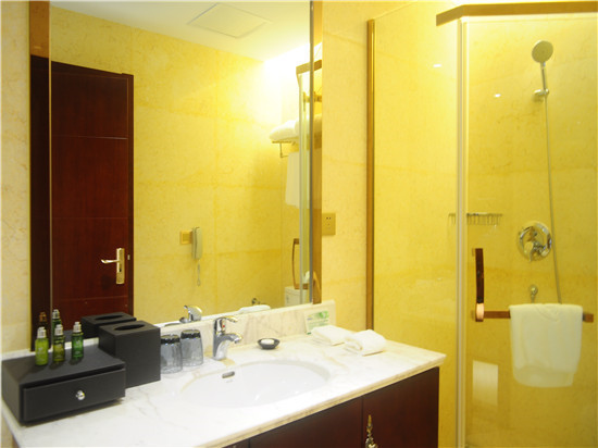 Regan International Hotel 3*