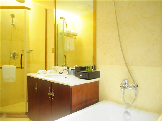 Regan International Hotel 3*