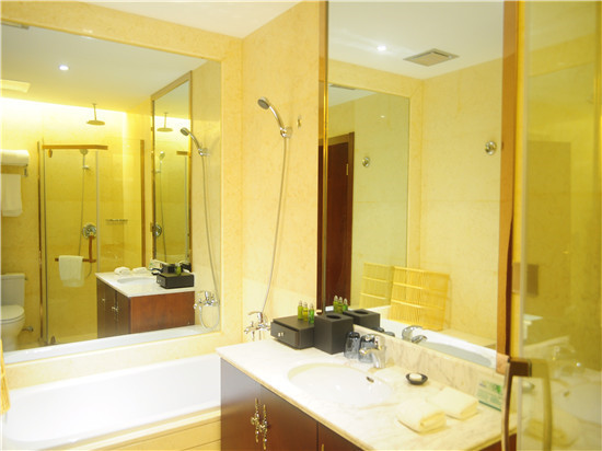 Regan International Hotel 3*