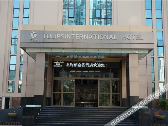 Tulips International Hotel 3*