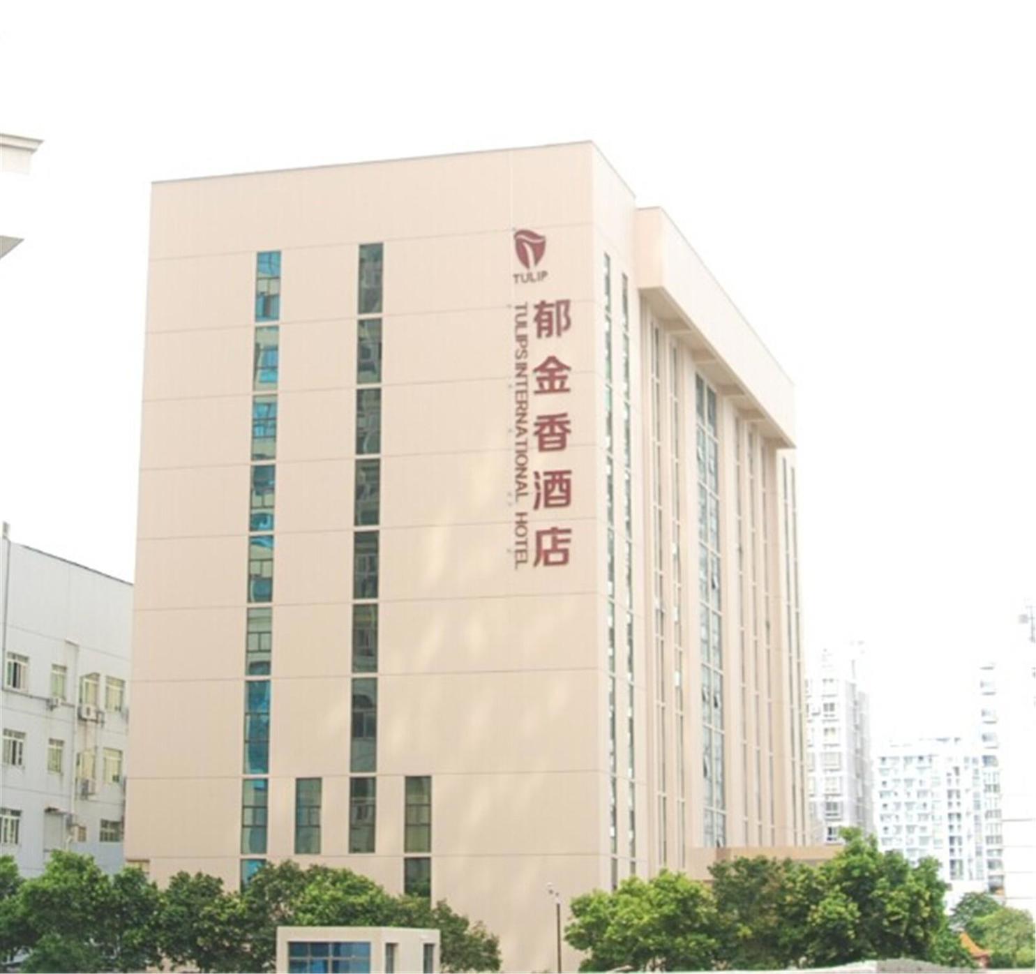 Tulips International Hotel 3*