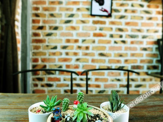 Weizhou Island Summer Sunshine Sea View Hotel 2*