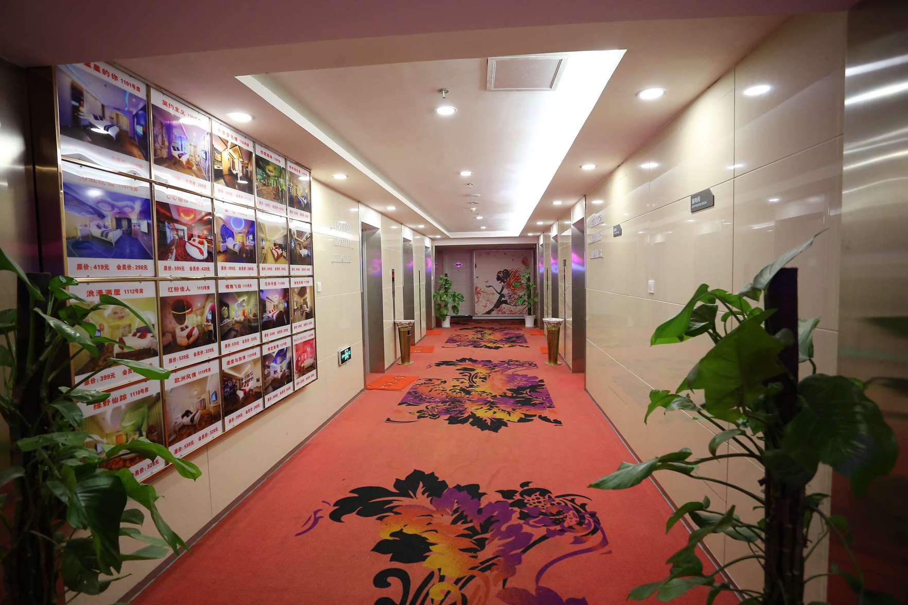 Ant E-Sports Hotel 0*