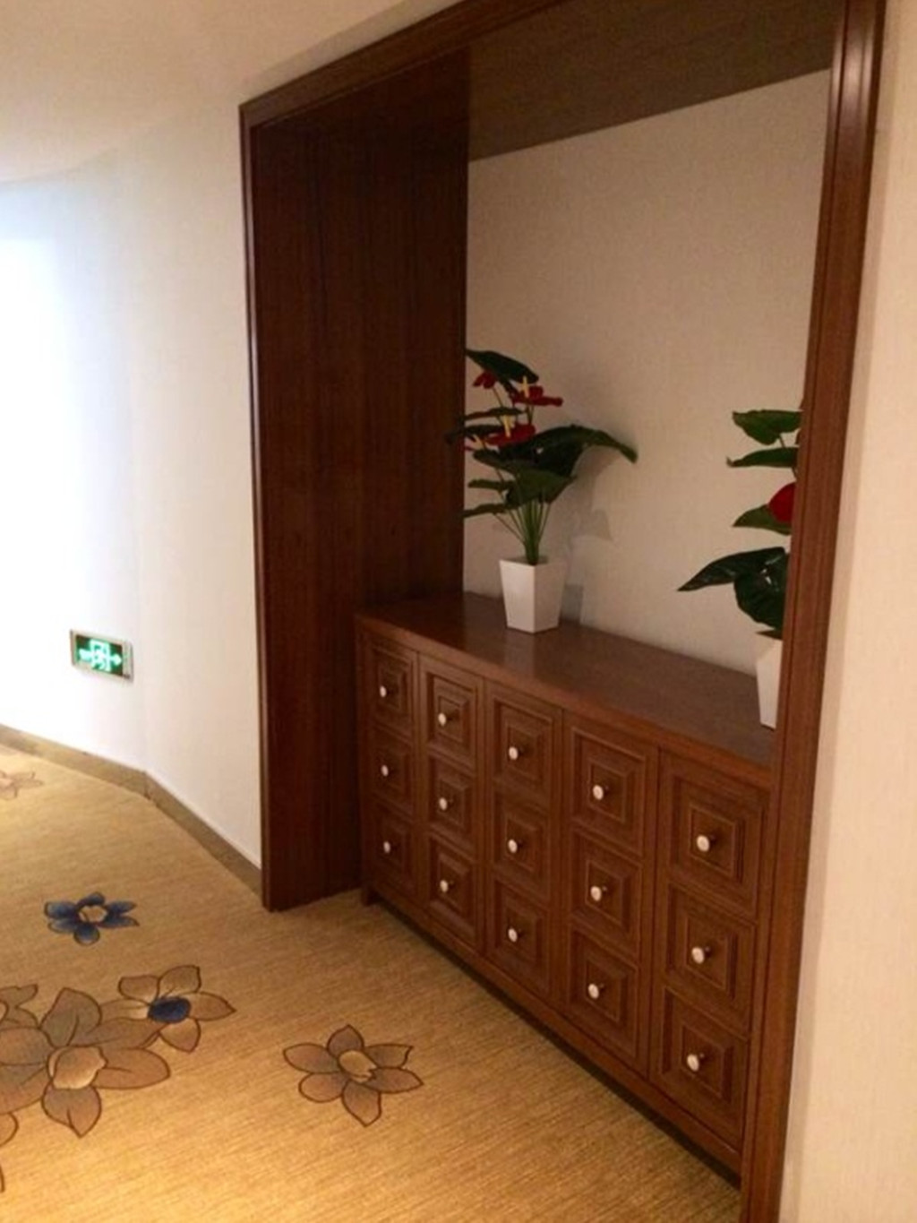 Kailai Yuexun Hotel (Shenyang North Railway Station) 3*