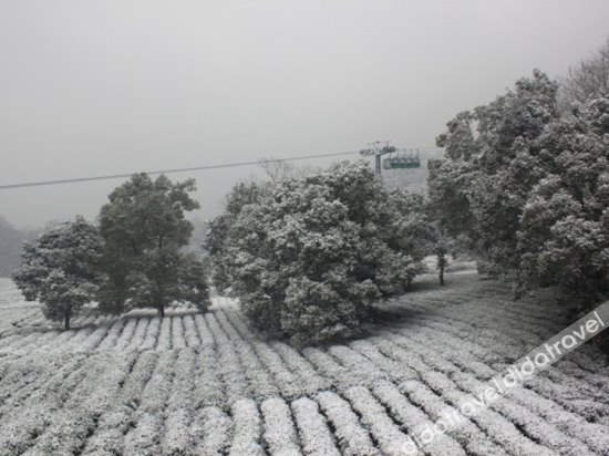 Hangzhou Yinxi Tea House (West Lake Lingyin) 0*