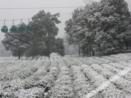 Hangzhou Yinxi Tea House (West Lake Lingyin) 0*
