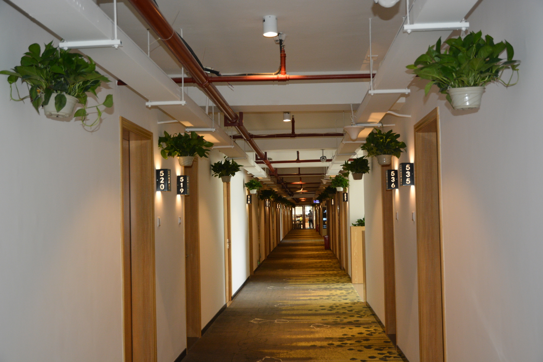 8inns plus Hotel 3*