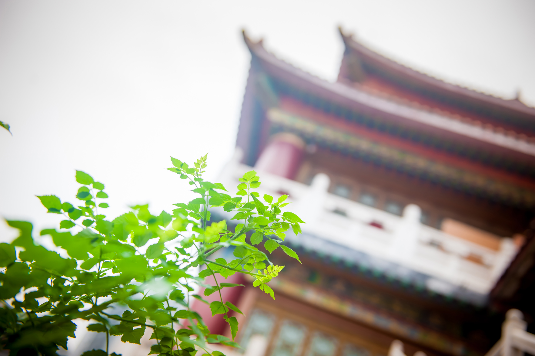 Chongqing Weisheng Hongsheng Hotel (Sigongli Light Rail Station Branch) 3*