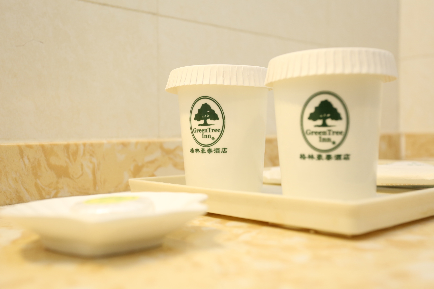 GreenTree Business Hotel (Tianjin Meijiang Convention Center) 2*
