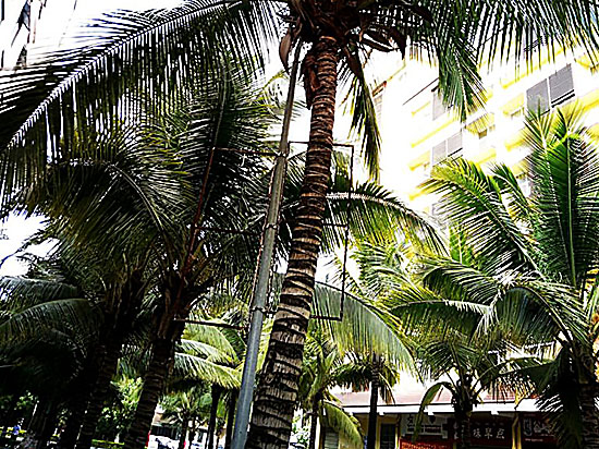 Lime Resort Hotel 2*