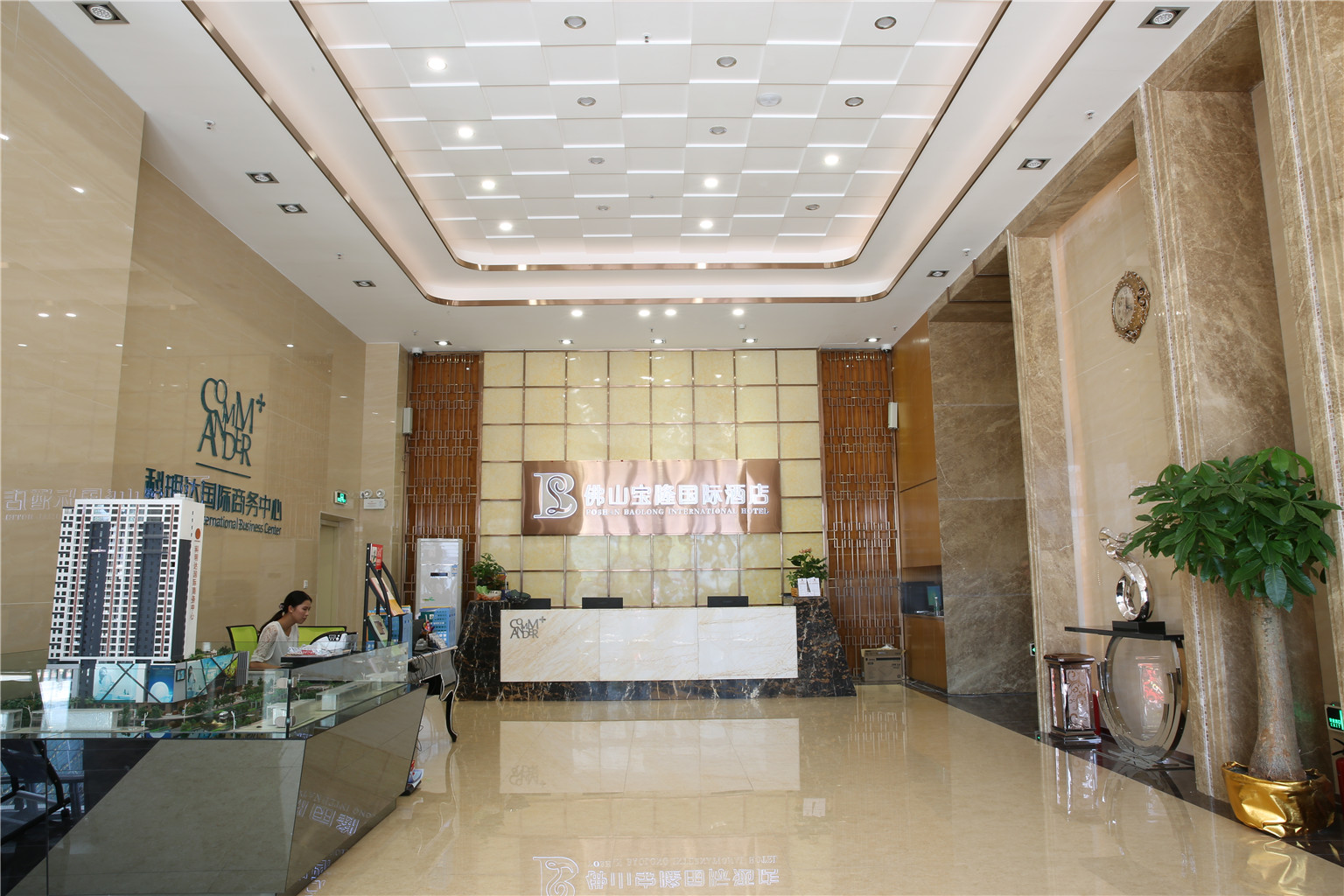 Baolong International Hotel 3*