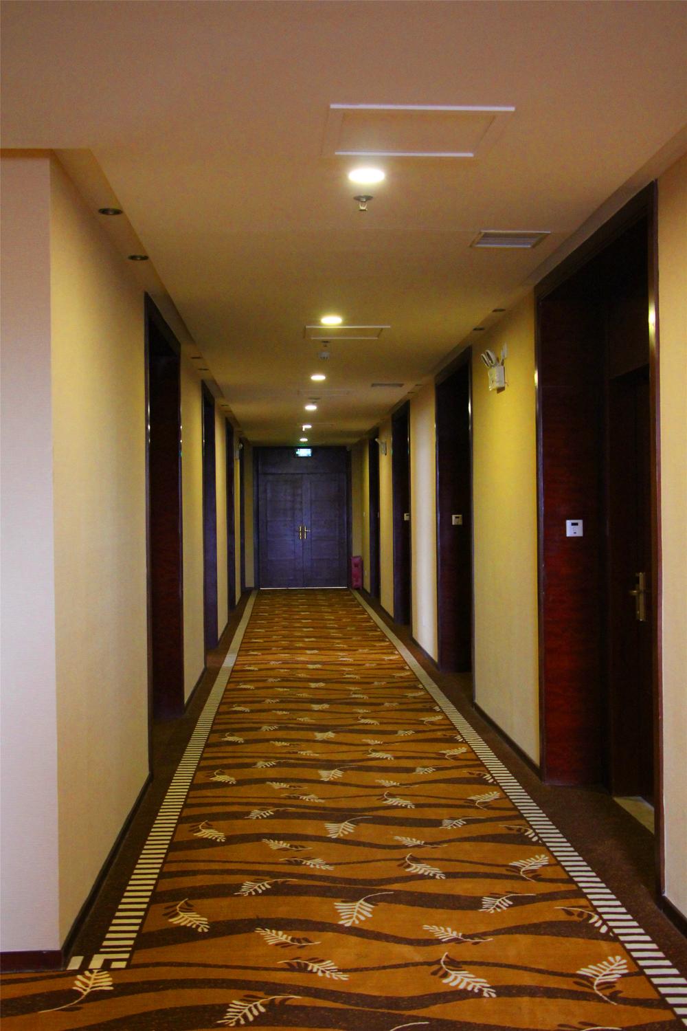 F World Conference Center Hotel (Wuhan Tianhe Airport Julong Avenue Subway Station Branch) 4*