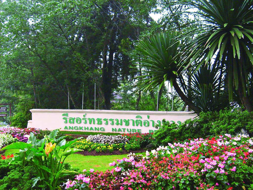 Туры в Angkhang Nature Resort