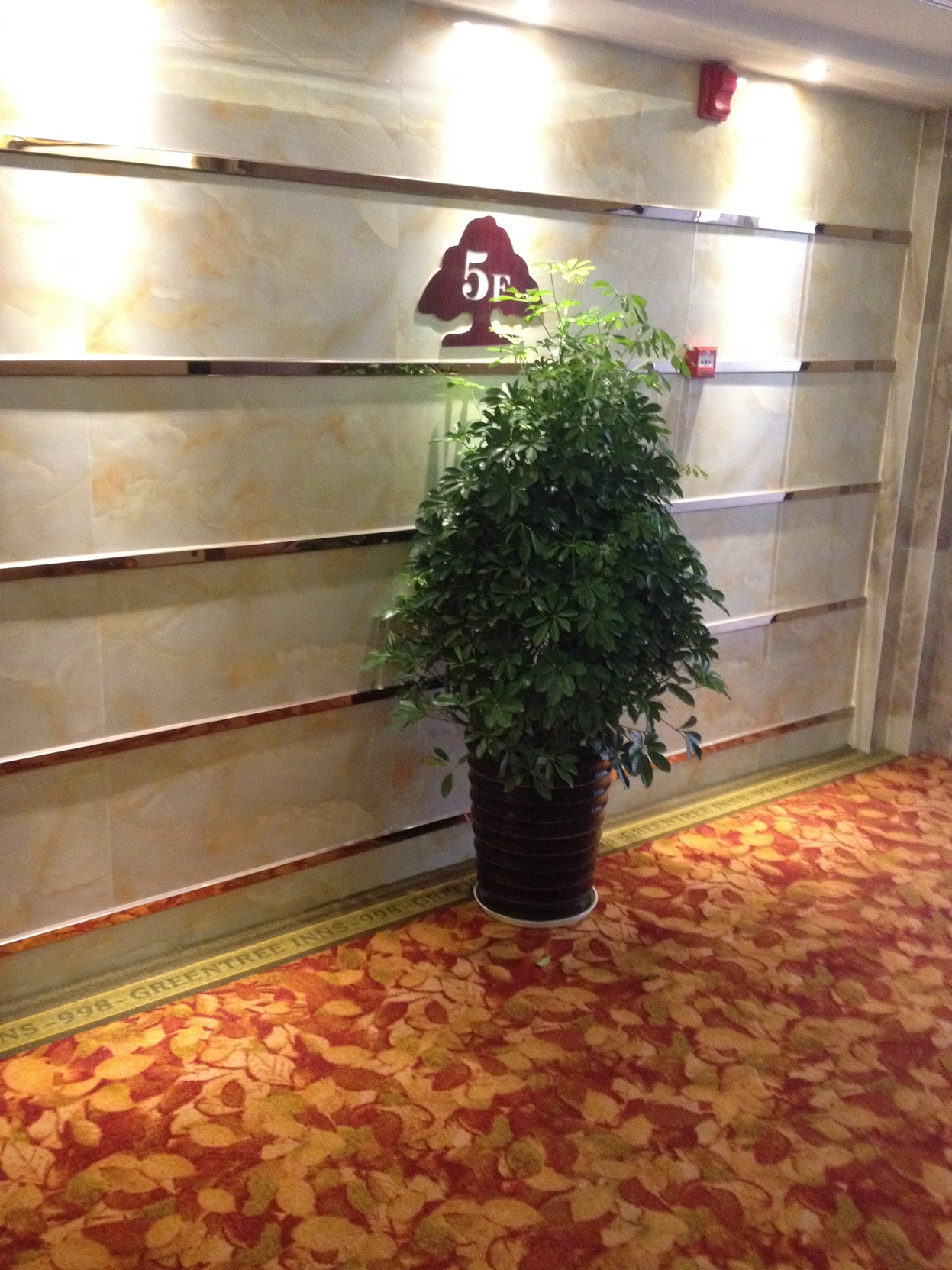 Nanning Yongyuan Express Hotel 2*