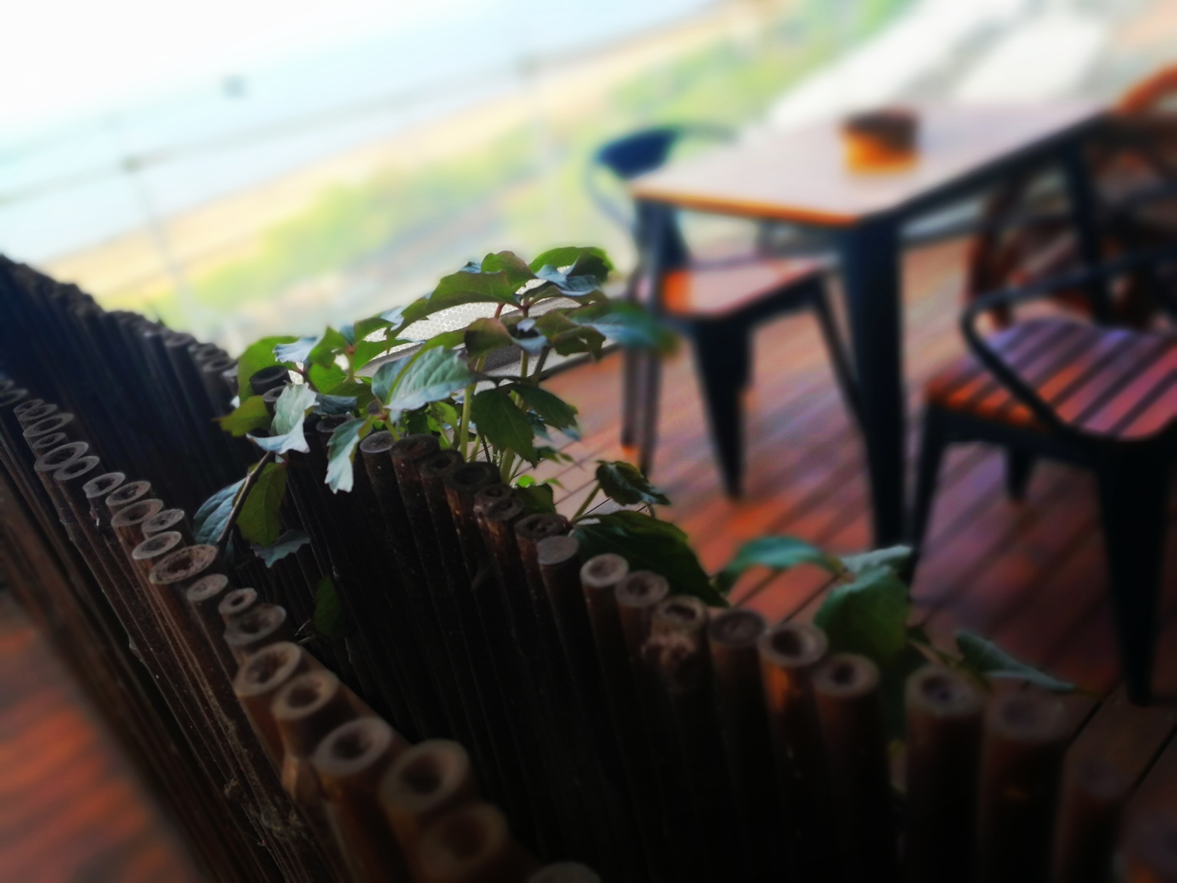 Vaikuha Seaview Hotel 3*