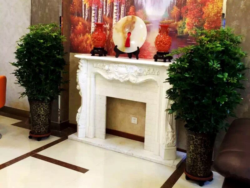 GreenTree Inn (Tianjin Wangqingtuo Times Square) 2*