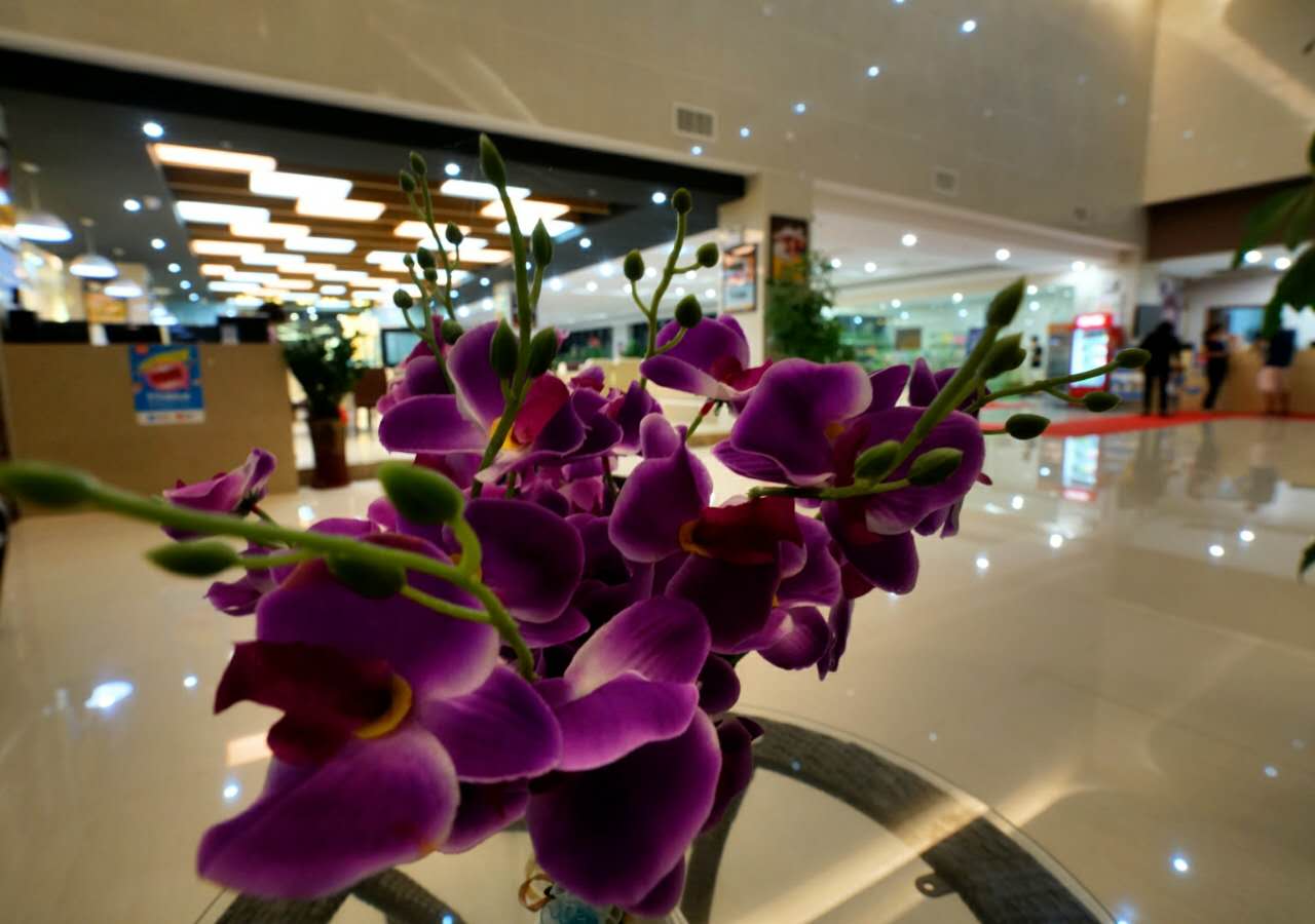 Pai Hotel (Zhuhai City Vocational College Jinwan Huafa Shangdu Store) 2*