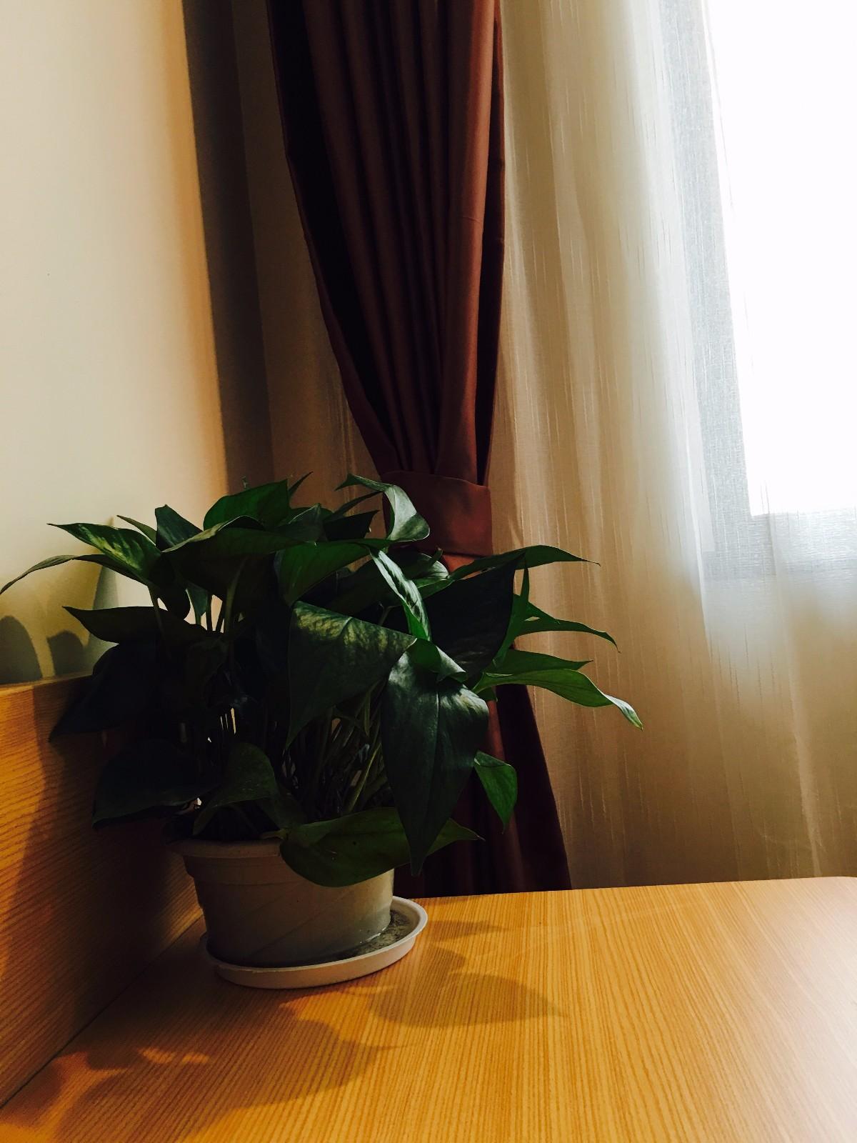 Pai Hotel (Zhuhai City Vocational College Jinwan Huafa Shangdu Store) 2*