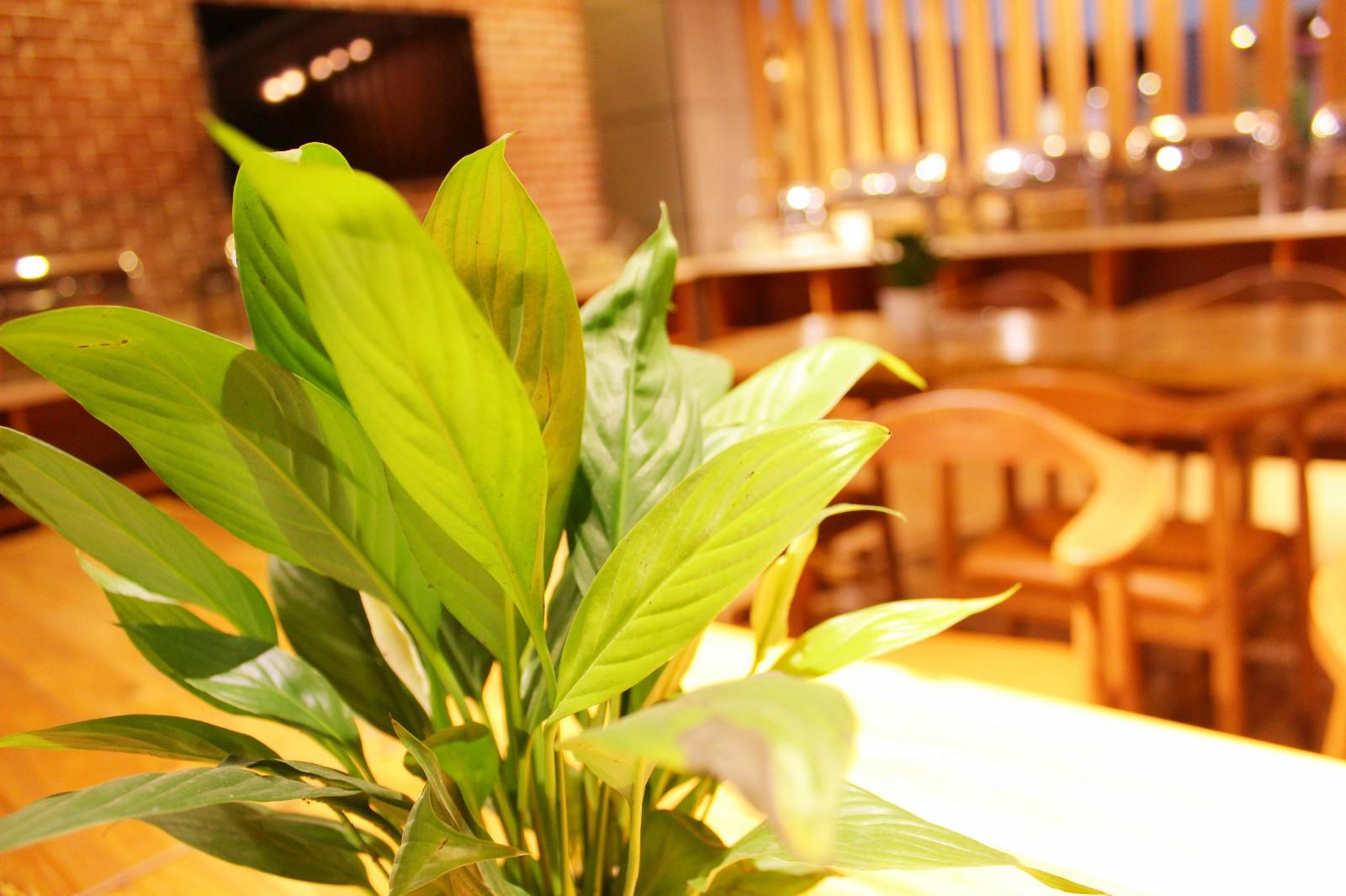 Aifei Hotel (Tianjin Binhai High-Speed Rail Station & Polar Ocean Park Branch) 3*