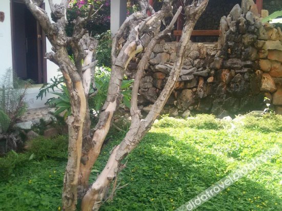 Gaobo Garden Hotel 2*
