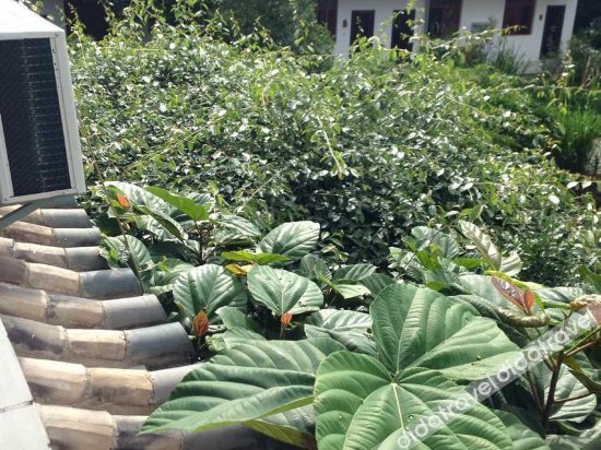 Gaobo Garden Hotel 2*