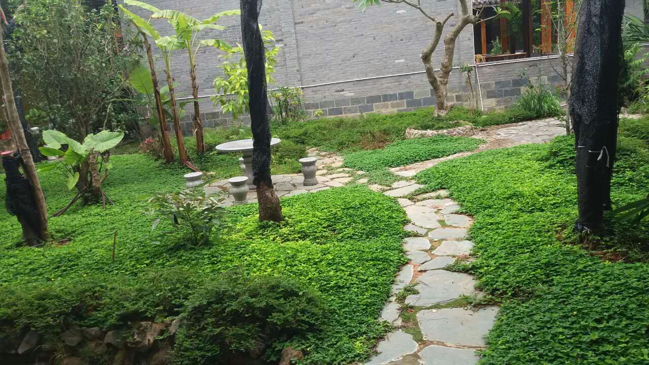 Gaobo Garden Hotel 2*