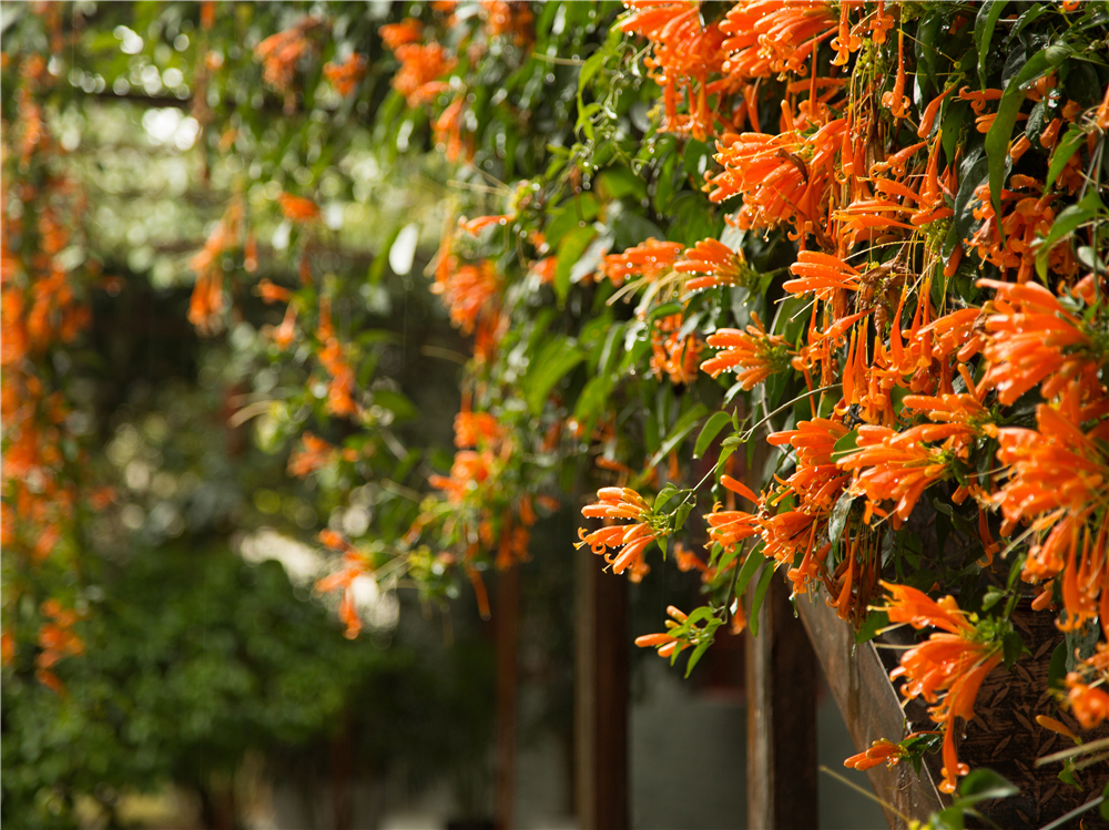 Gaobo Garden Hotel 2*
