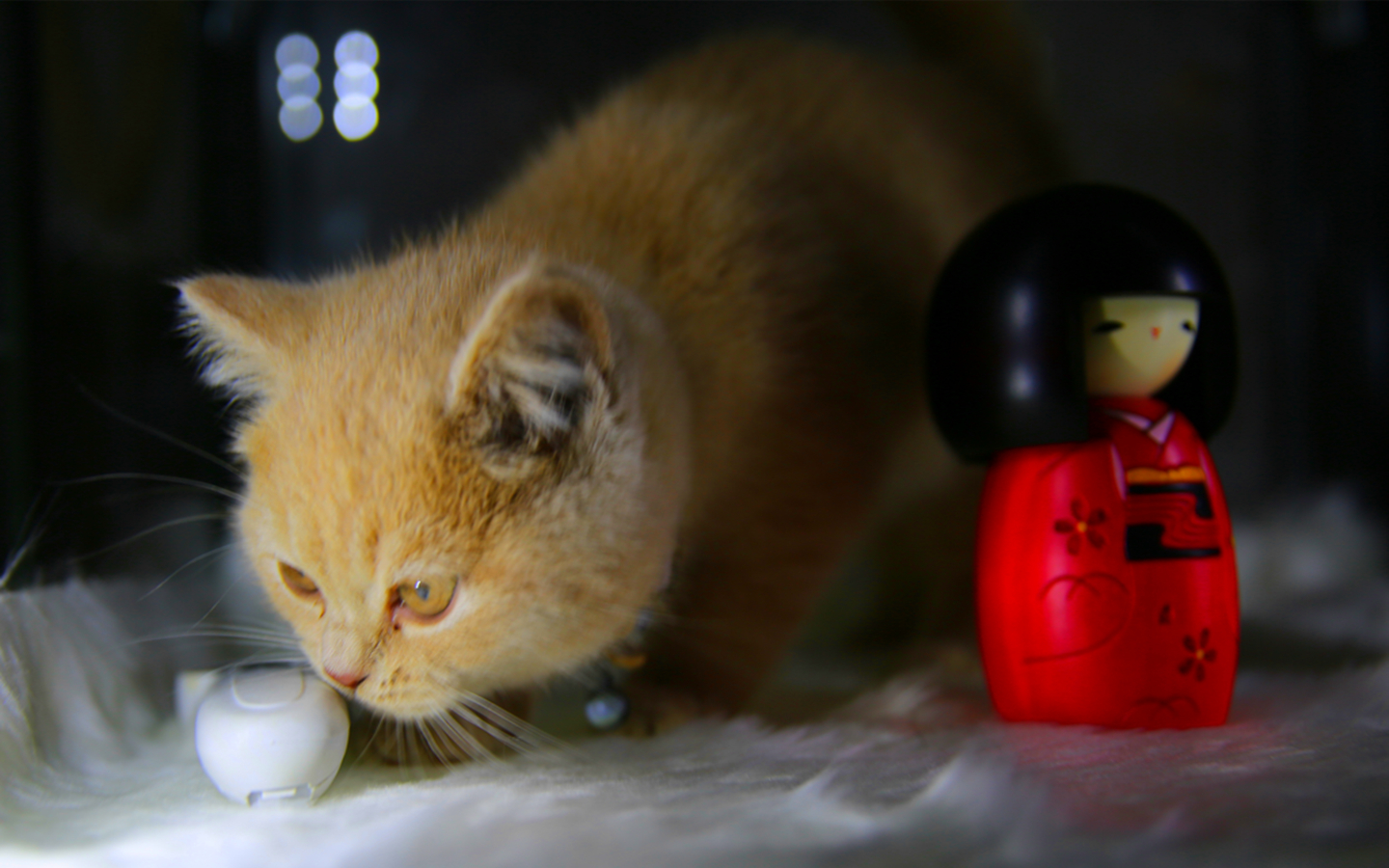 Moganshan Mountain Cat Inn 0*