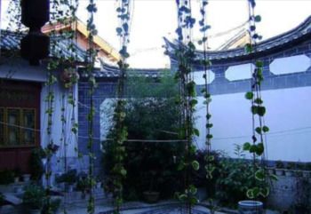 Wolong Inn 2*