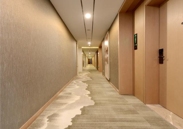 Borrman Hotel (Guiyang Guanshan Lake, International Conference Center Subway Station) 3*