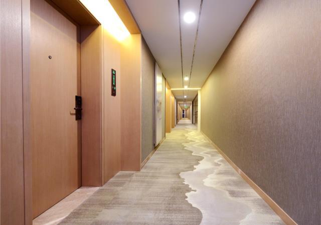 Borrman Hotel (Guiyang Guanshan Lake, International Conference Center Subway Station) 3*