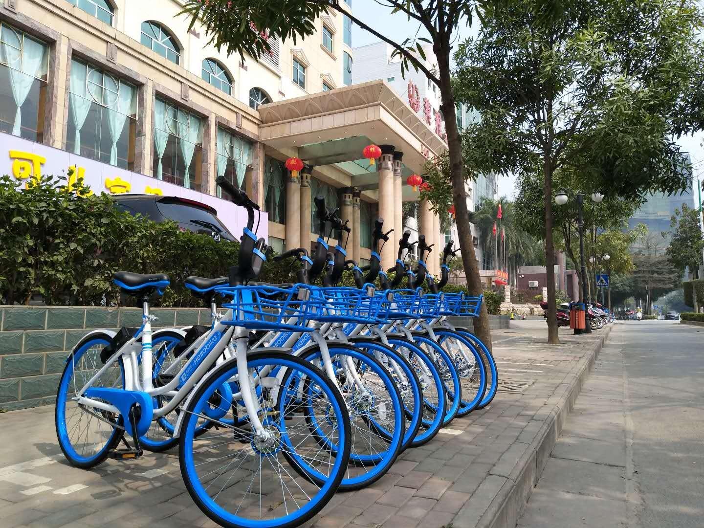 Mingyue Lake Hotel (Baise City Government Hengji Plaza) 3*
